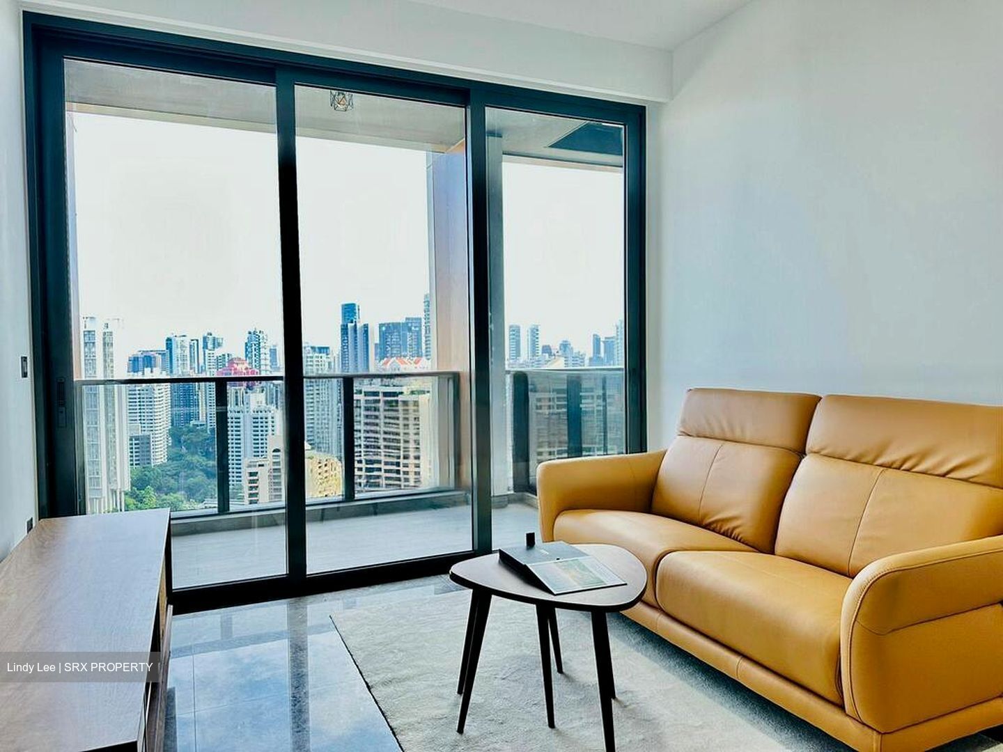 Riviere  (D3), Condominium #498685481